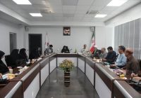 با حضور معاون تعاون و امور اجتماعی بنیاد؛ نشست هم‌اندیشی شورای مشاوران وزرا در امور ایثارگران برگزار شد