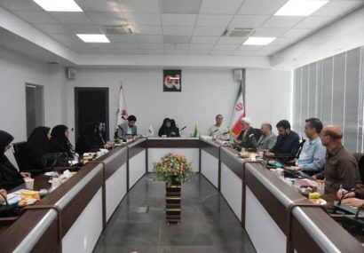 با حضور معاون تعاون و امور اجتماعی بنیاد؛ نشست هماندیشی شورای مشاوران وزرا در امور ایثارگران برگزار شد