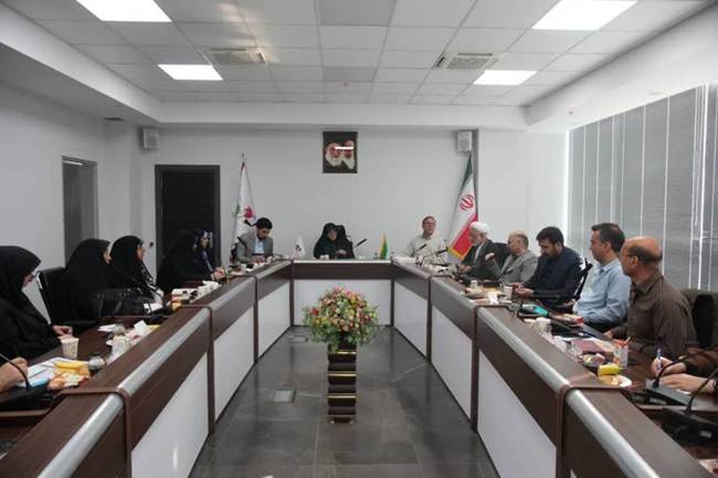 با حضور معاون تعاون و امور اجتماعی بنیاد؛ نشست هم‌اندیشی شورای مشاوران وزرا در امور ایثارگران برگزار شد