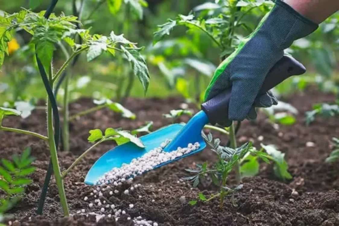 مدیر شرکت خدمات حمایتی کشاورزی استان اصفهان عنوان کرد: ۴۴ هزار تن کود شیمیایی یارانه‌ای در اصفهان توزیع شد