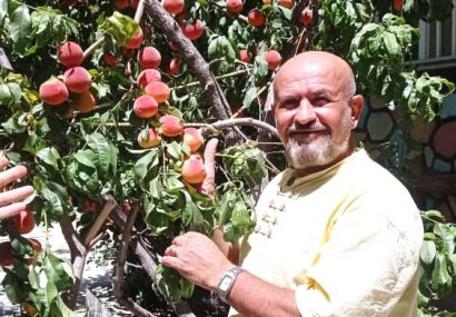 روایت یک باغ؛ از ایثار تا ماندگاری نام شهدا در دل زاگرس