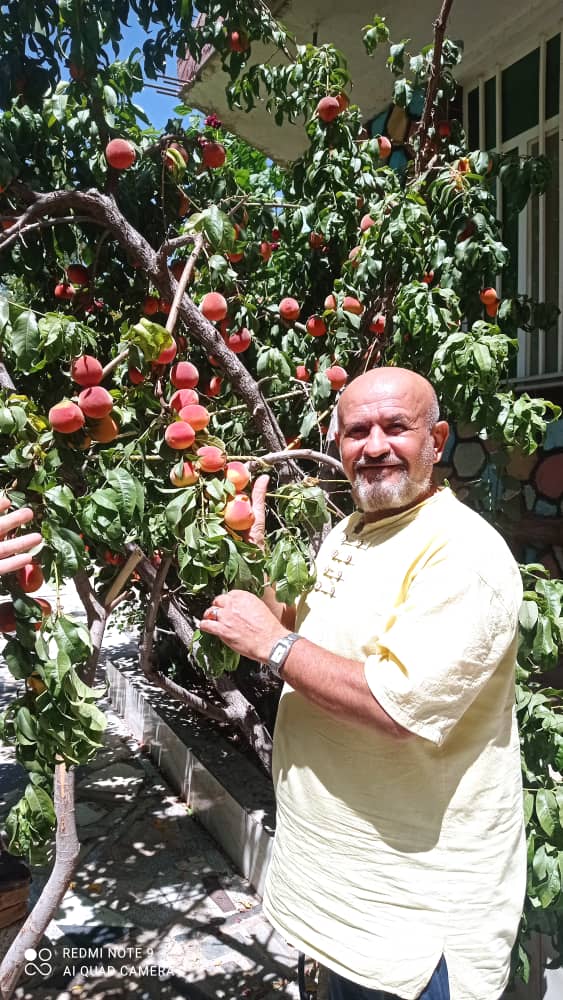 روایت یک باغ؛ از ایثار تا ماندگاری نام شهدا در دل زاگرس