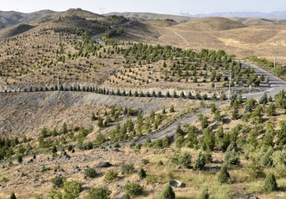 درختکاری، سپر اصفهان در برابر گردوغبار