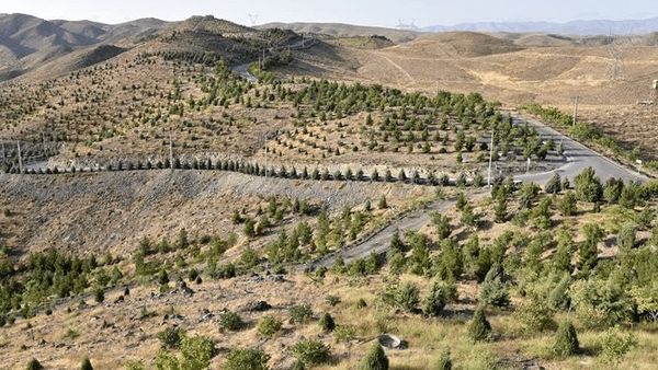 درختکاری، سپر اصفهان در برابر گردوغبار