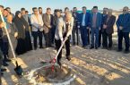  شرکت شهرک‌های صنعتی استان اصفهان عملیات اجرای پروژه بیابان زدایی را آغاز کرد