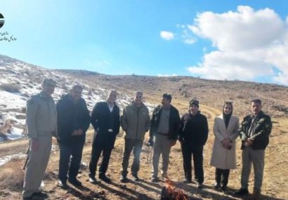 بازدید معاون محیط طبیعی و مدیرکل دفتر حقوقی سازمان حفاظت محیط زیست از شهرستان گلپایگان و پارک ملی موته اصفهان بازدید معاون محیط طبیعی و مدیرکل دفتر حقوقی سازمان حفاظت محیط زیست از شهرستان گلپایگان و پارک ملی موته اصفهان
