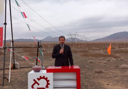 جنگل‌کاری در اقلیم خشک؛ عبور از کلیشه‌ها