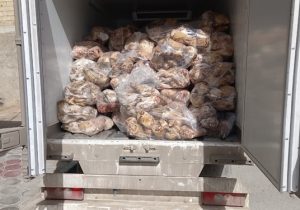  کشف و توقیف بیش از ۳ هزار و ۵۰۰ کیلوگرم کله و پاچه بدون هویت در شهرستان اصفهان