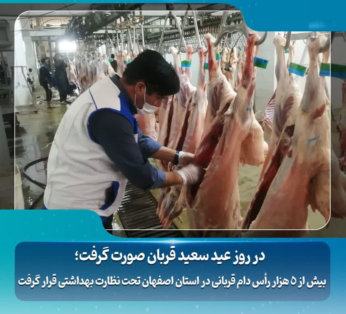 بیش از ۵ هزار رأس دام قربانی در استان اصفهان تحت نظارت بهداشتی قرار گرفت