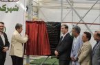همزمان با هفته جهاد کشاورزی، بزرگترین شهرک تولید نشاء خاورمیانه و نخستین شهرک تخصصی تولید نشاء ایران در شهرستان دهاقان به بهره‌برداری رسید.