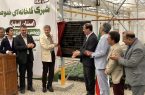 با حضور استاندار اصفهان و ارتباط وبیناری رئیس‌جمهور و وزیر جهاد کشاورزی، بزرگترین شهرک گلخانه‌ای تولید نشاء کشور و نخستین شهرک تخصصی تولید نشاء ایران با عنوان “جنوب” به بهره‌برداری رسید.