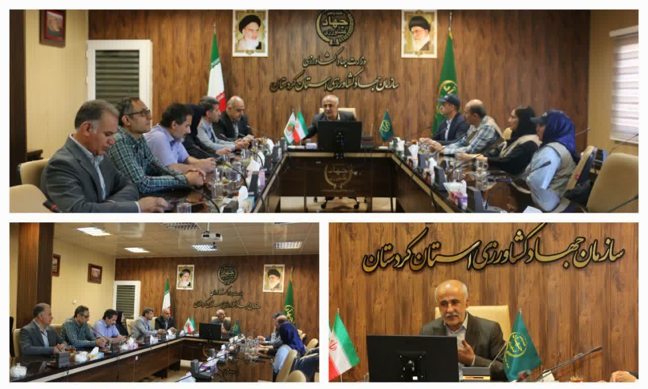 صیانت از ذخایر ژنتیک دامی کردستان با راهبرد بینالمللی فائو