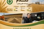 خرید تضمینی گندم در کردستان؛