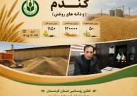 خرید تضمینی گندم در کردستان؛ خرید تضمینی گندم در کردستان؛